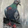Pigeon Pigeon